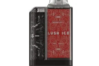 JellyBox 5000 คำ รสแตงโม - 290 บาท