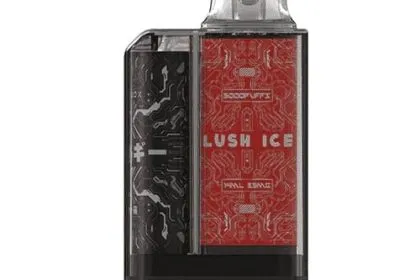 JellyBox 5000 คำ รสแตงโม - 290 บาท