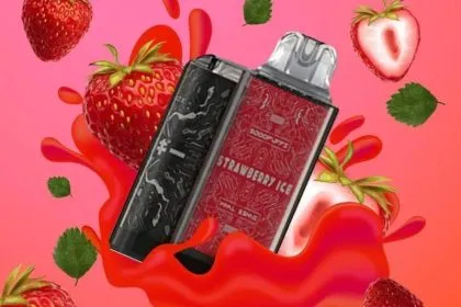 JellyBox 5000 คำ รสสตอเบอรี่ - 290 บาท