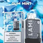 LAMI มินต์ – 9000 Puffs - 390 บาท