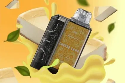 JellyBox 5000 คำ รสชีสเค้ก - 290 บาท