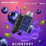 JellyBox 5000 คำ รสบลูเบอรี่ - 290 บาท