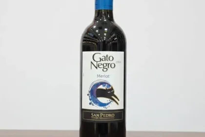 ภาพ Gato Negro Merlot 2022 / 1 ลัง 12 ขวด ประกอบบทความ มุมที่ 1